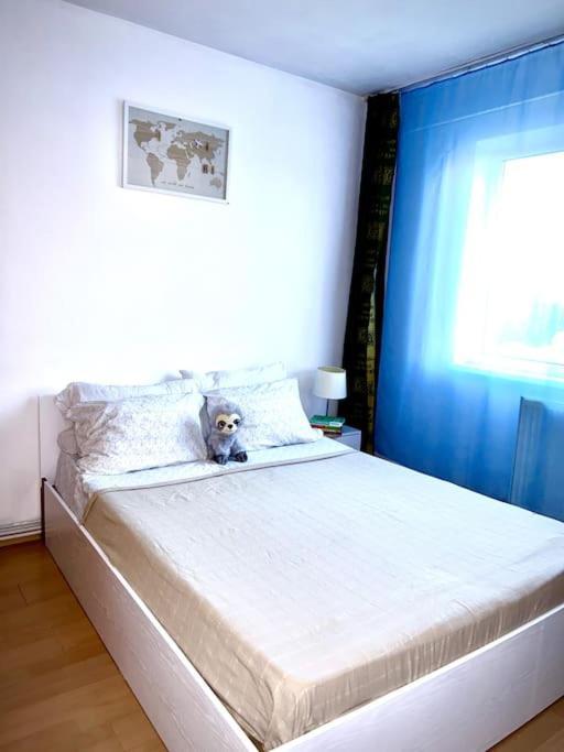 Ap 2 Cam Confortabile - Ab House Iasi Exteriör bild